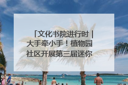 文化书院进行时｜大手牵小手！植物园社区开展第三届迷你马拉松活动